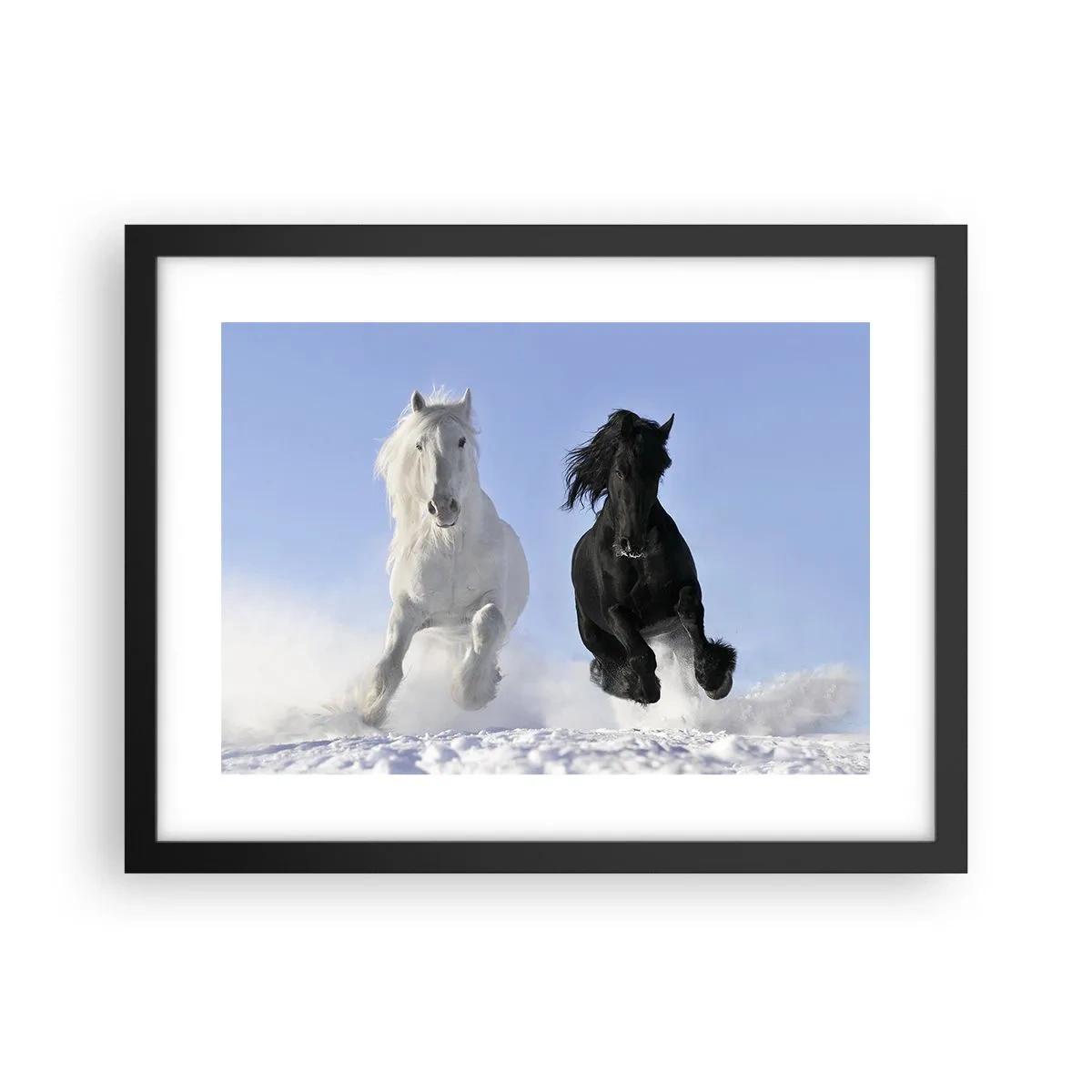 Poster in cornice nera - Galoppo in bianco e nero - 40x30 cm