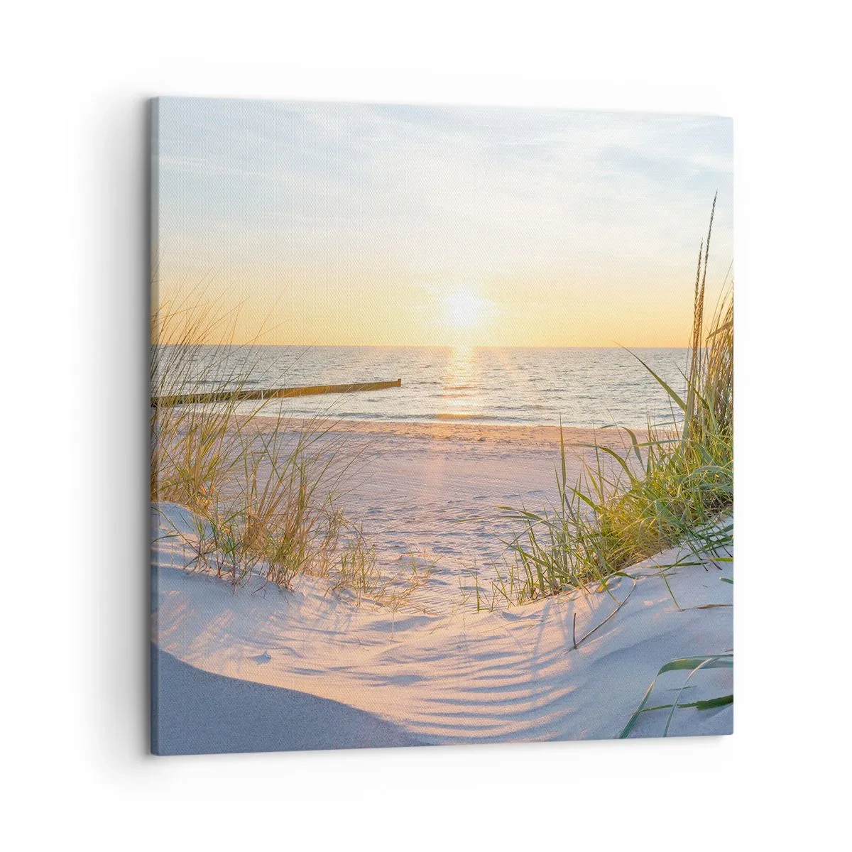 Quadro su tela - Stampe su Tela - Rumore del mare, uccelli che cantano, spiaggia selvatica tra i cespugli... - 50x50 cm