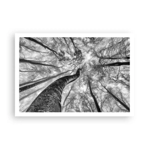 Poster - Prospettiva degli alberi in una foresta visti dal basso in tonalità di grigio - 100x70cm - La corsa verso la luce - Decorazione murale moderna per soggiorno e camera da letto ARTTOR
