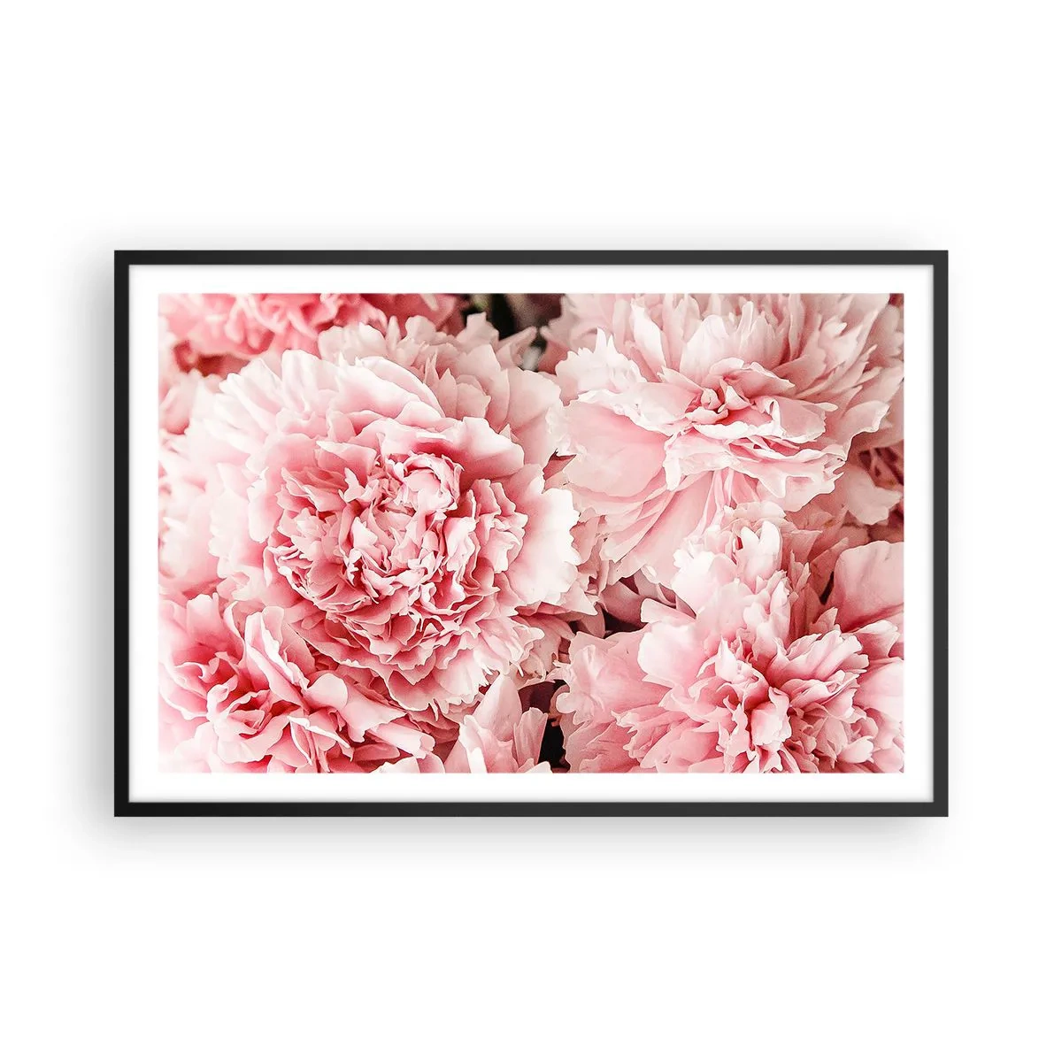Poster in cornice nera - Sogno rosa - 91x61 cm