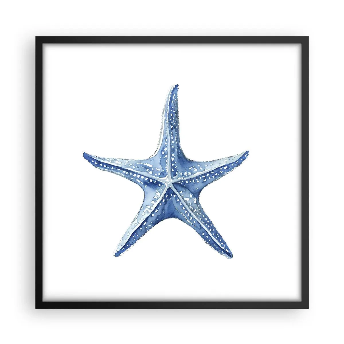 Poster in cornice nera - Stella marina - 50x50 cm
