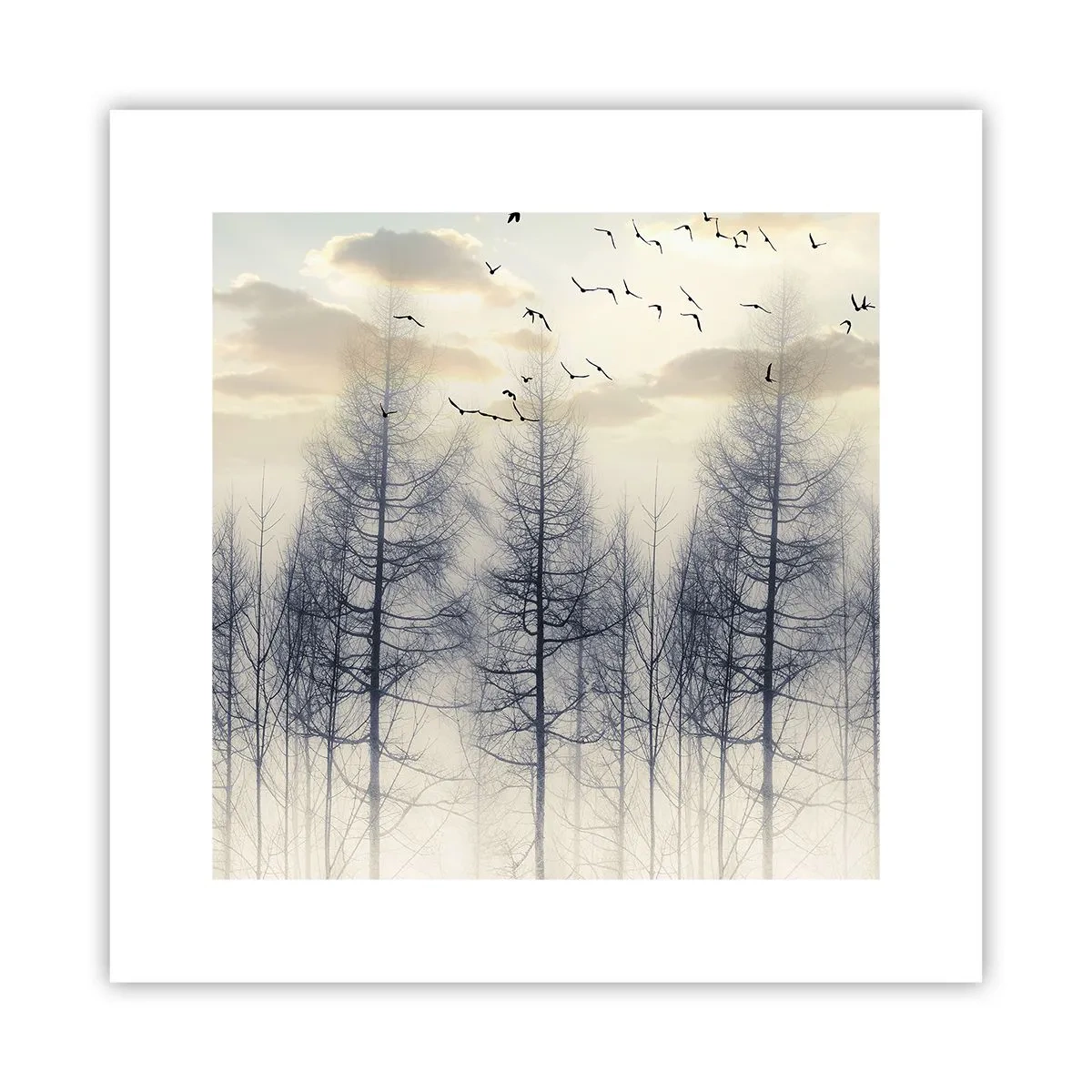 Poster - Lo spirito della foresta - 30x30 cm