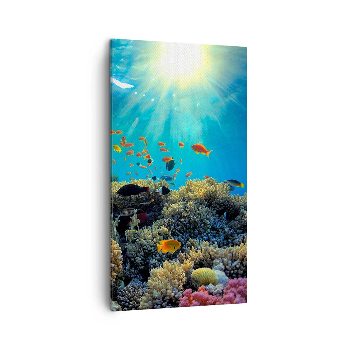 Quadro su tela - Stampe su Tela - Tesori sotto al mare - 45x80 cm