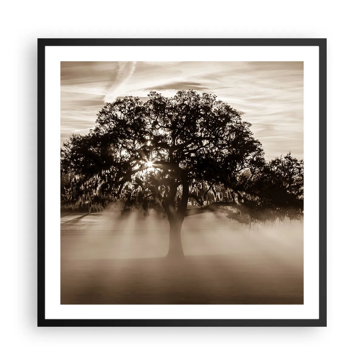 Poster in cornice nera - L'albero delle sole buone notizie - 60x60 cm