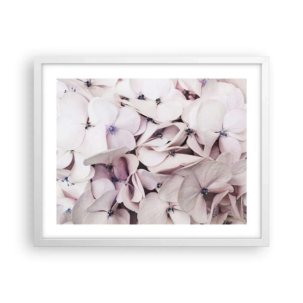 Poster in cornice bianca - Un'alluvione di fiori - 50x40 cm