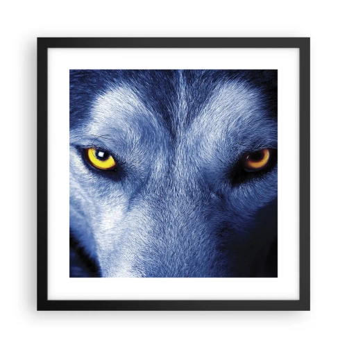 Poster in cornice nera - Sguardo ipnotico - 40x40 cm