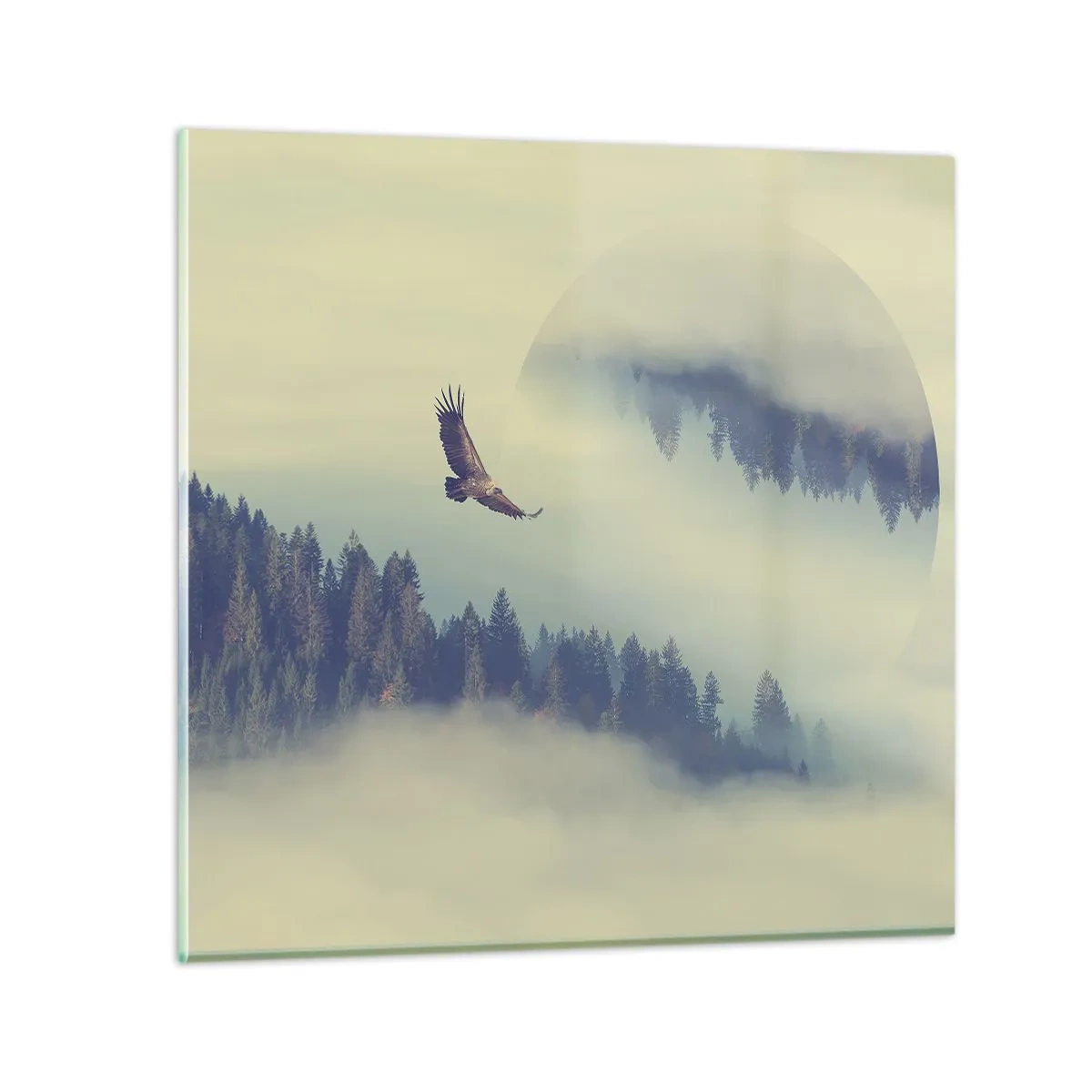 Quadro su vetro - Ho visto l'ombra dell'aquila - 50x50 cm