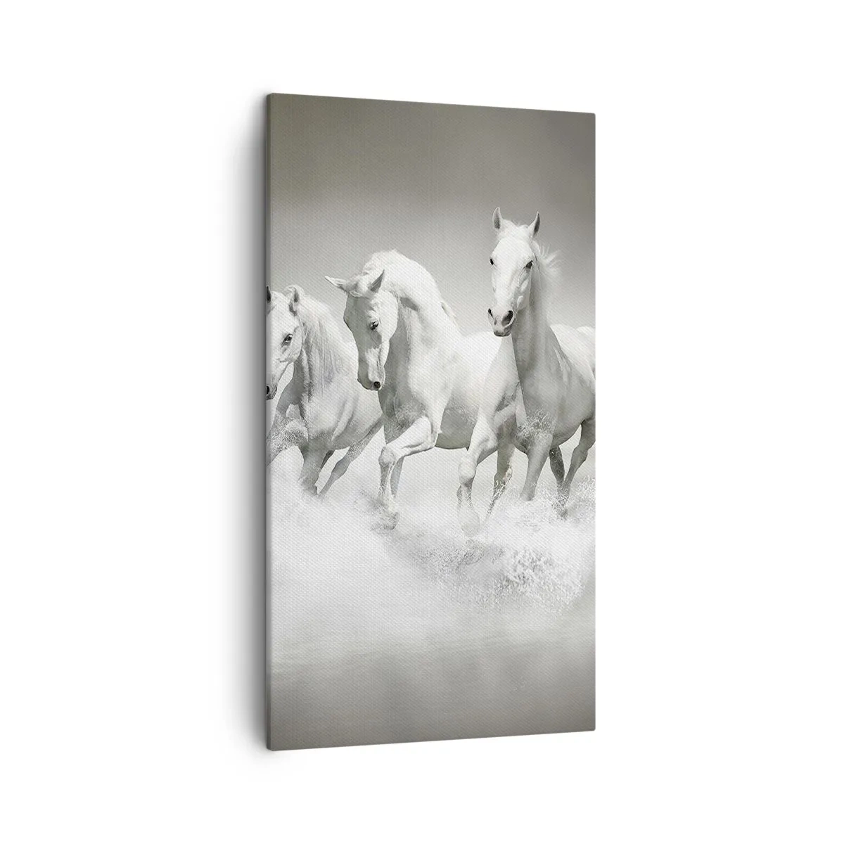 Quadro su tela - Stampe su Tela - Estasi bianca - 45x80 cm