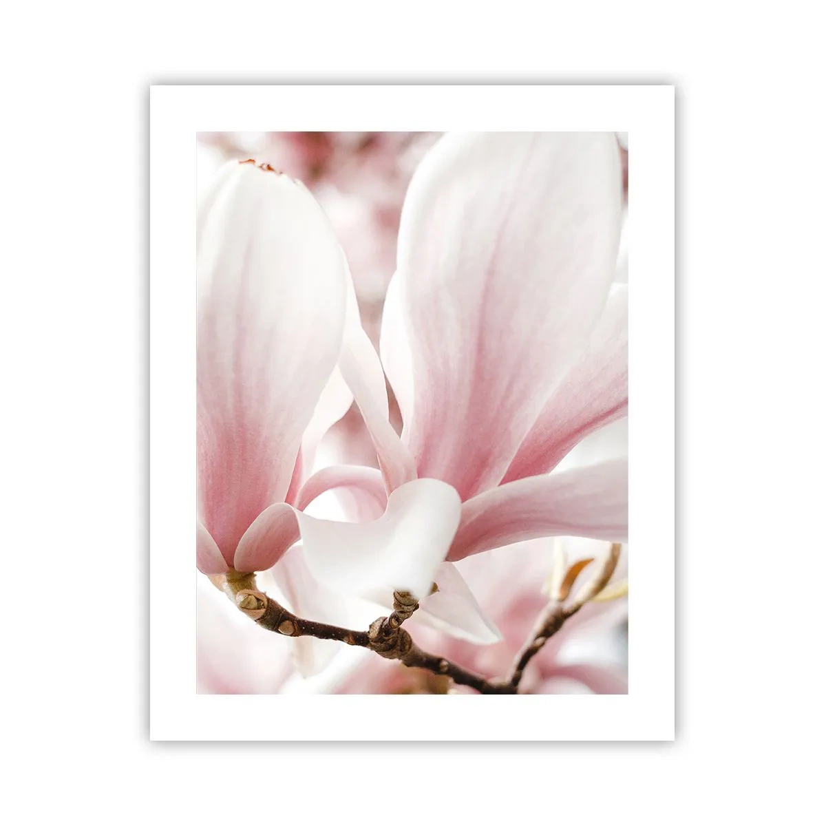 Poster - Tenerezza senza fine - 40x50 cm