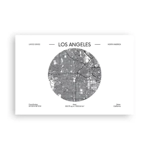 Poster - Anatomia di Los Angeles - 91x61 cm