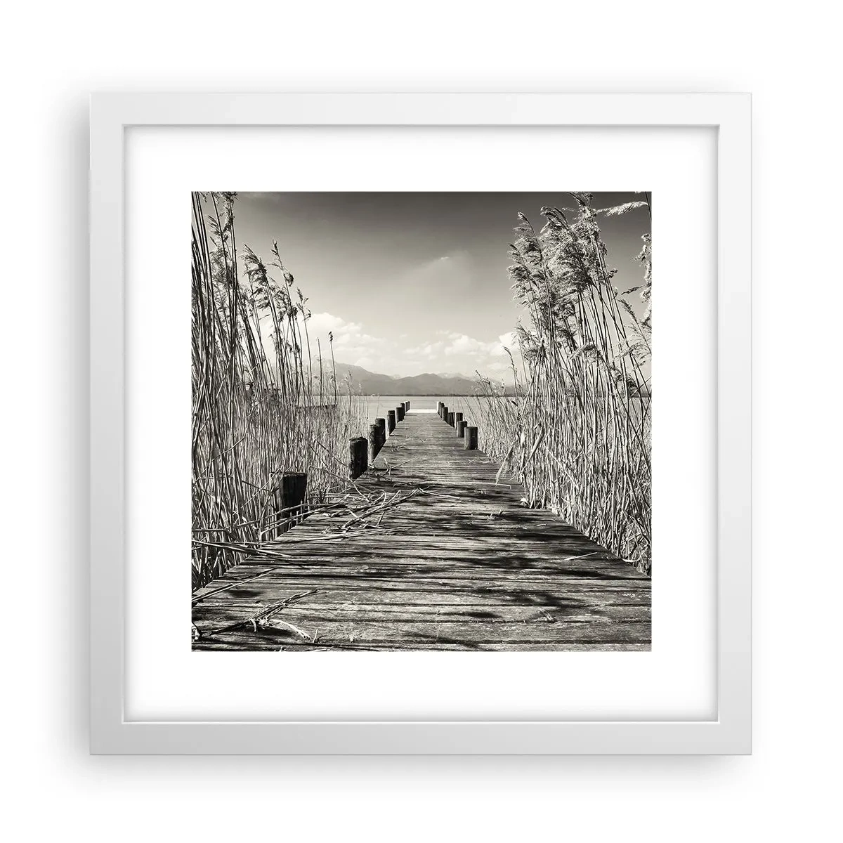 Poster in cornice bianca - Nel silenzio dell'erba - 30x30 cm