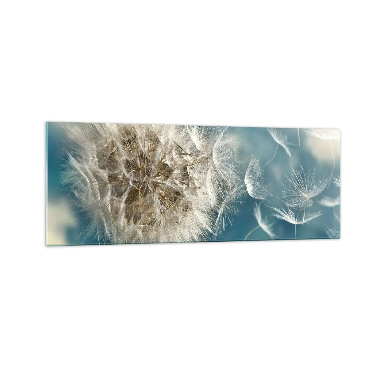 Quadro su vetro - Un dente di leone soffiato contro un cielo blu - 140x50cm - Il respiro dell'angelo - Decorazione murale moderna per soggiorno e camera da letto ARTTOR