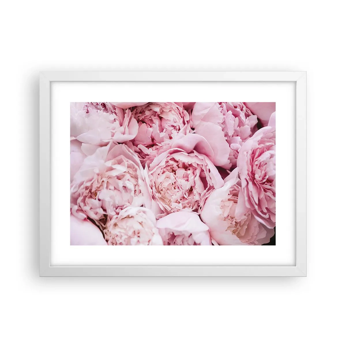 Poster in cornice bianca - Morbide e profumate - 40x30 cm