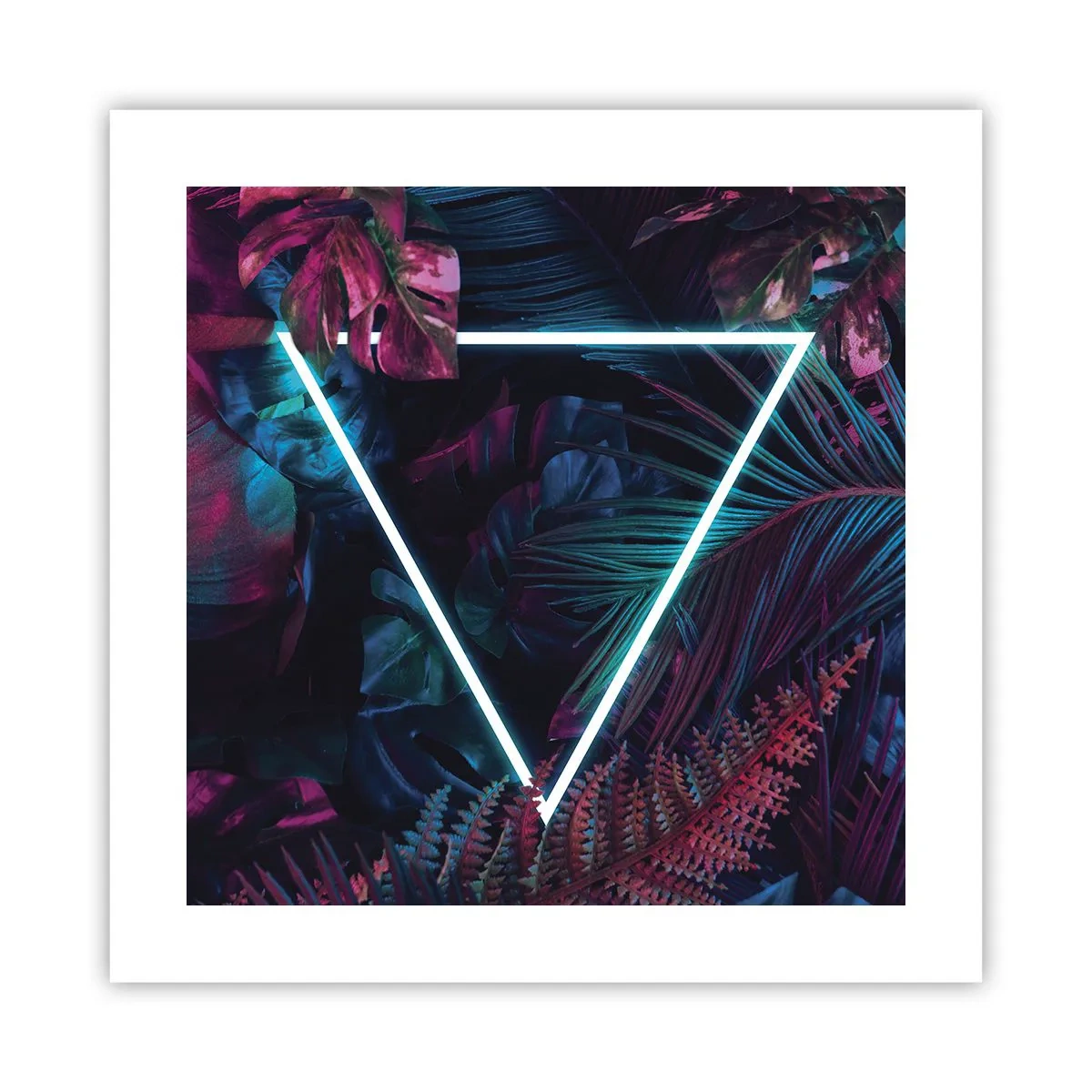 Poster - Giardino in stile discoteca - 40x40 cm