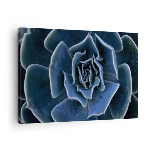 Quadro su tela - Stampe su Tela - Primo piano di una rosetta succulenta verde - 70x50cm - Fiore del deserto - Decorazione murale moderna per soggiorno e camera da letto ARTTOR