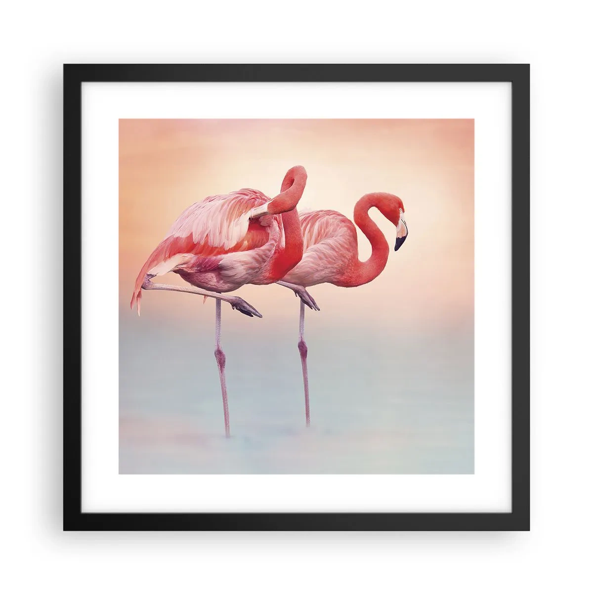 Poster in cornice nera - Nel colore del sole al tramonto - 40x40 cm