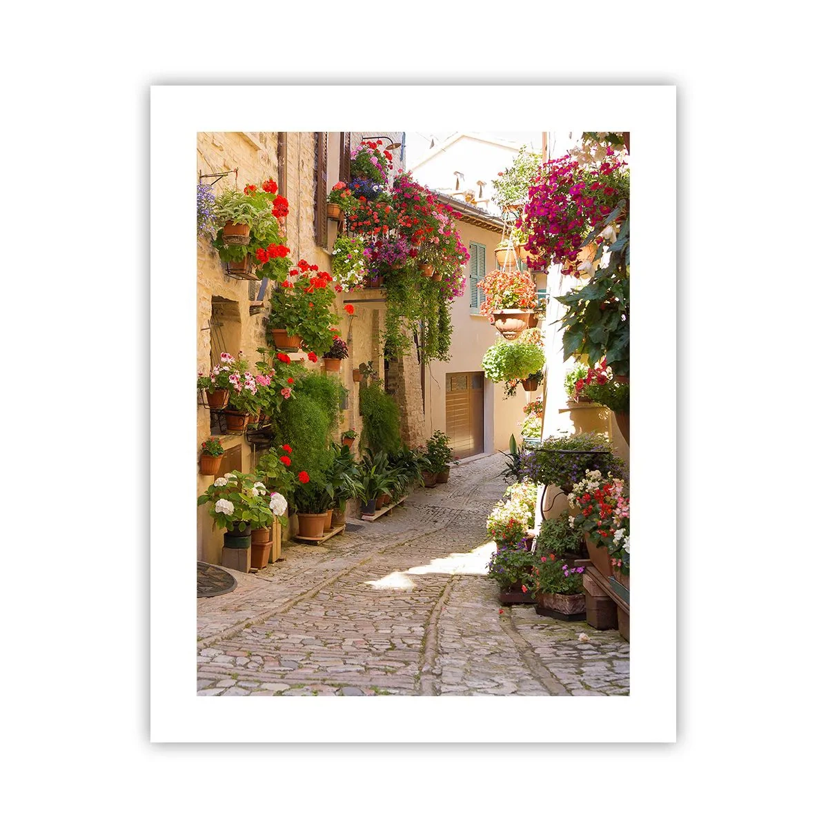 Poster - Un'esplosione di fiori - 40x50 cm