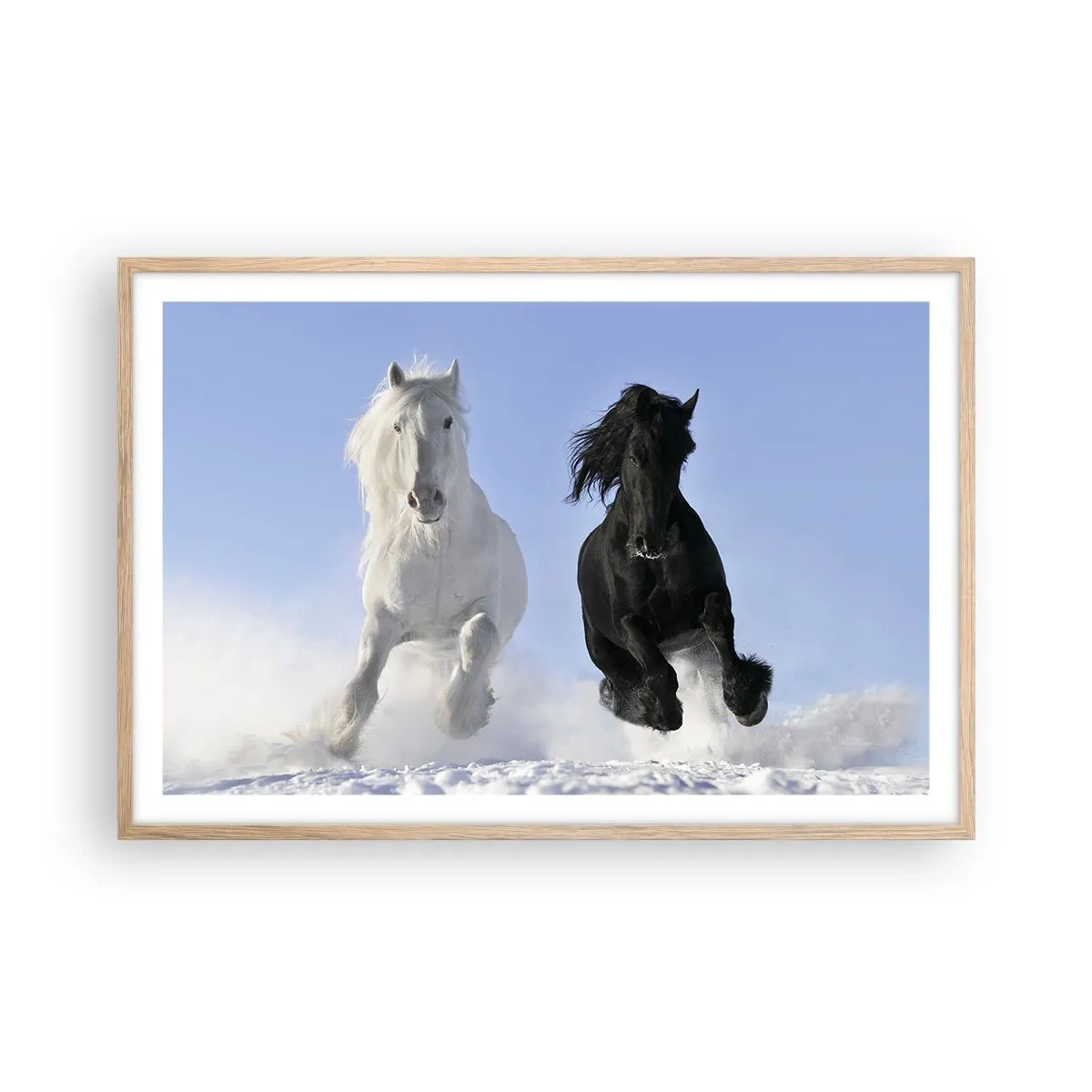 Poster in cornice rovere chiaro - Galoppo in bianco e nero - 91x61 cm