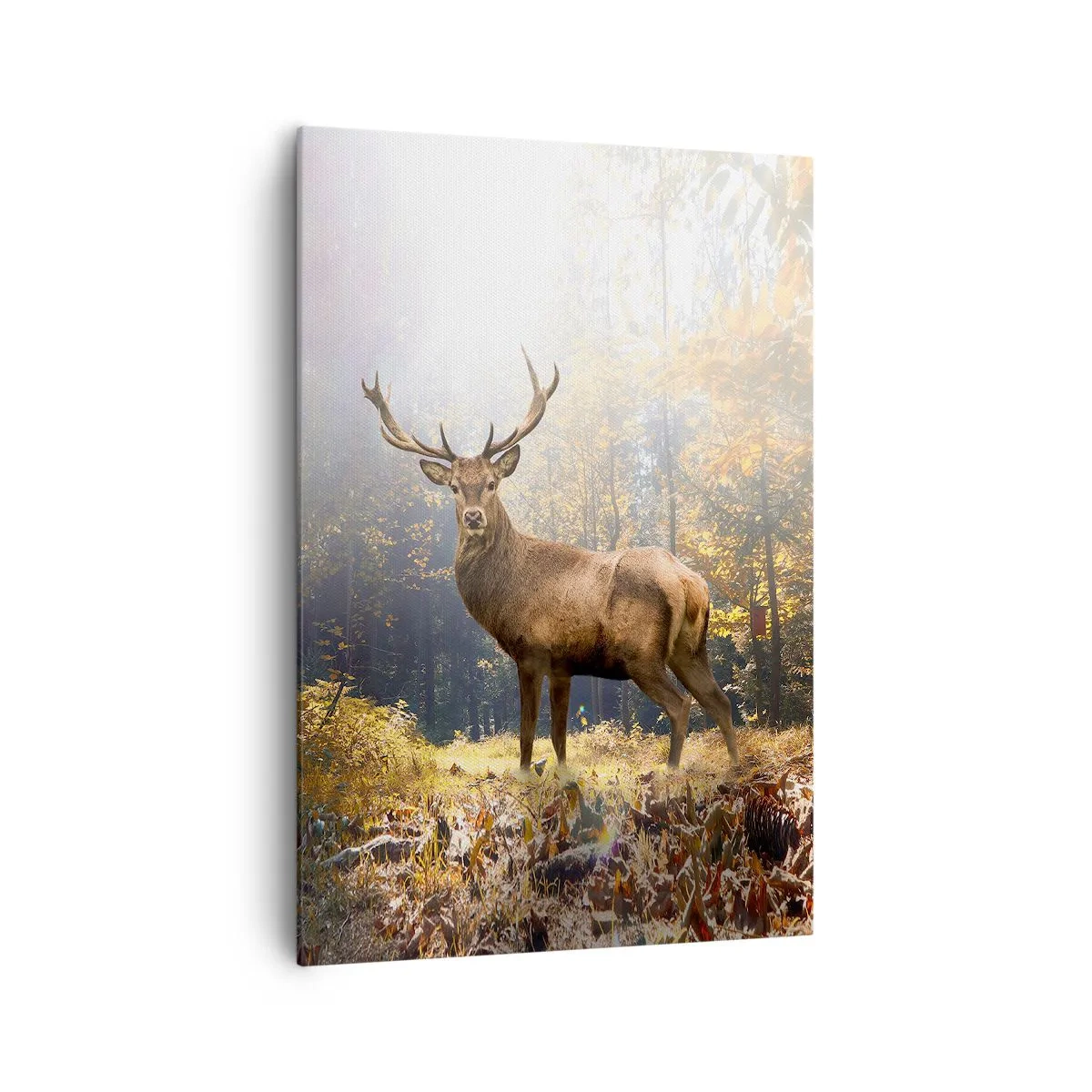 Quadro su tela - Stampe su Tela - Cervi nella foresta autunnale con raggi di sole - 70x100cm - Nella piena maestà - Decorazione murale moderna per soggiorno e camera da letto ARTTOR