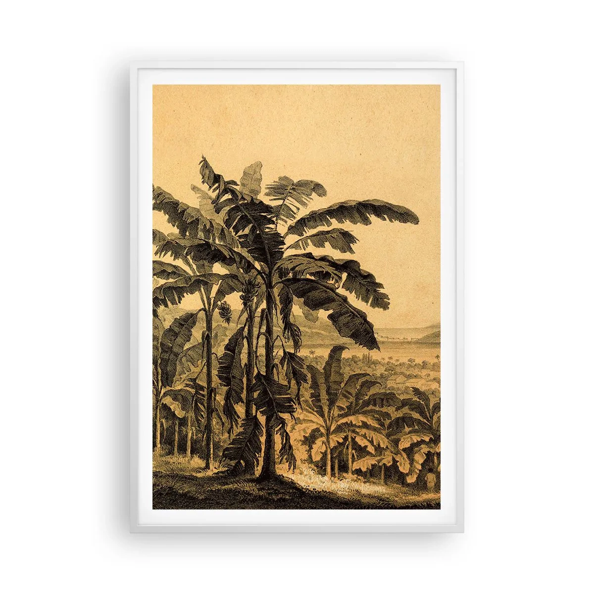 Poster in cornice bianca - Nel clima coloniale - 70x100 cm