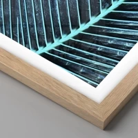 Rovere chiaro