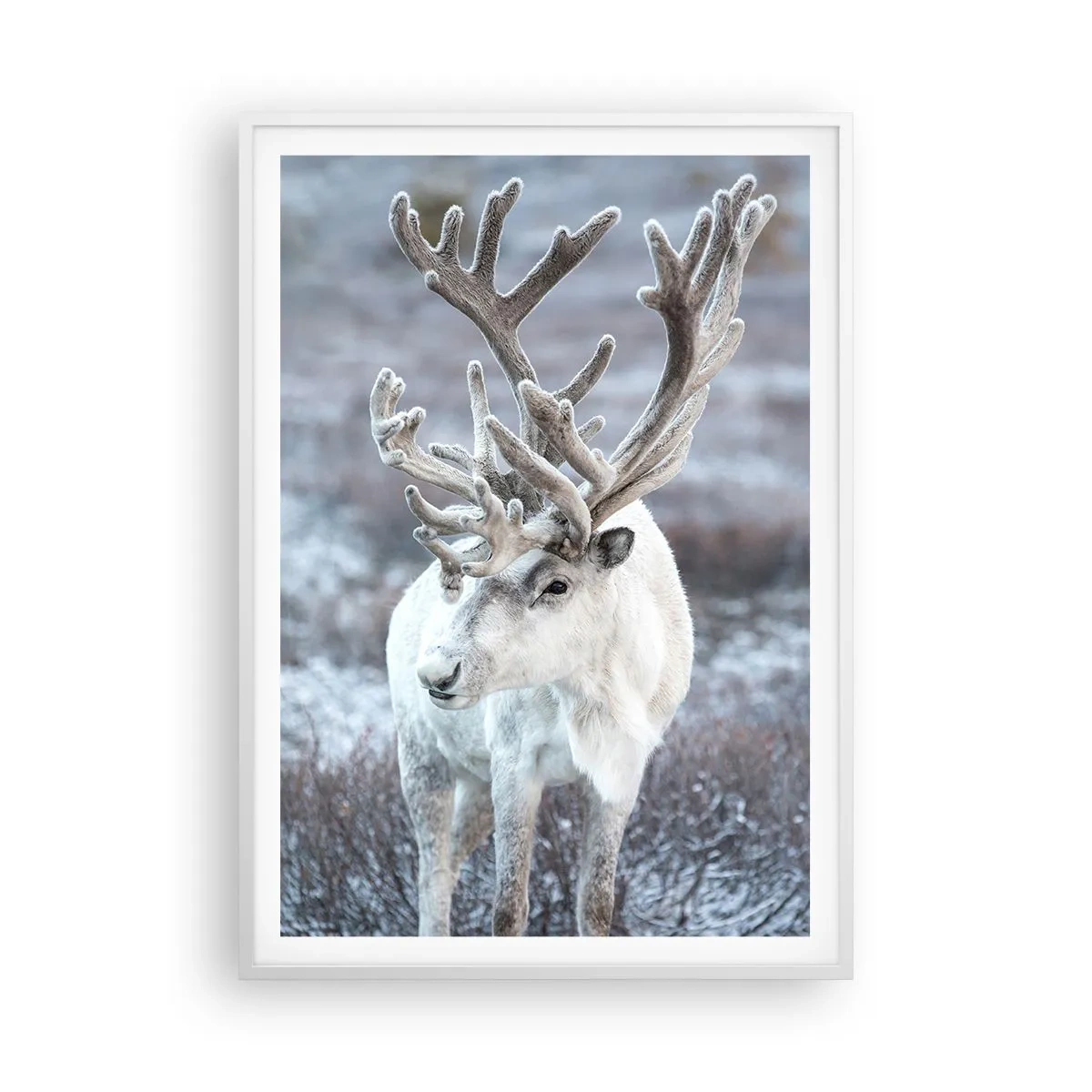 Poster in cornice bianca - Ritratto al sole - 70x100 cm