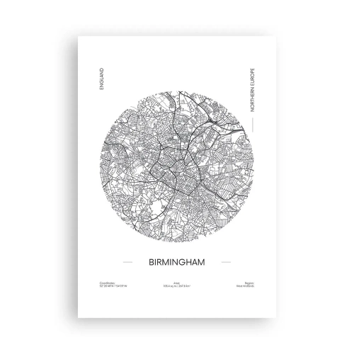 Poster - Anatomia di Birmingham - 70x100 cm