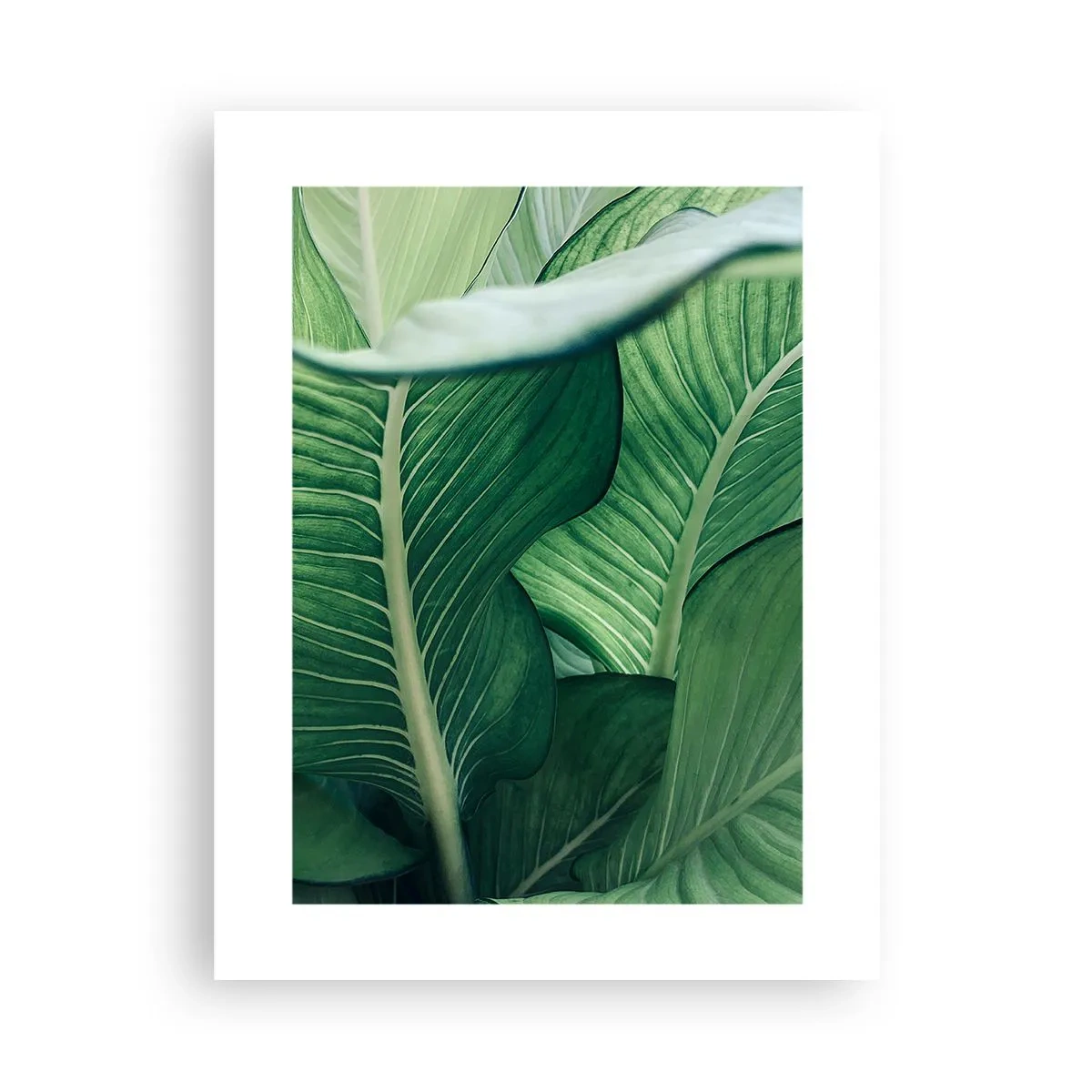 Poster - Una vita intensamente verde - 30x40 cm