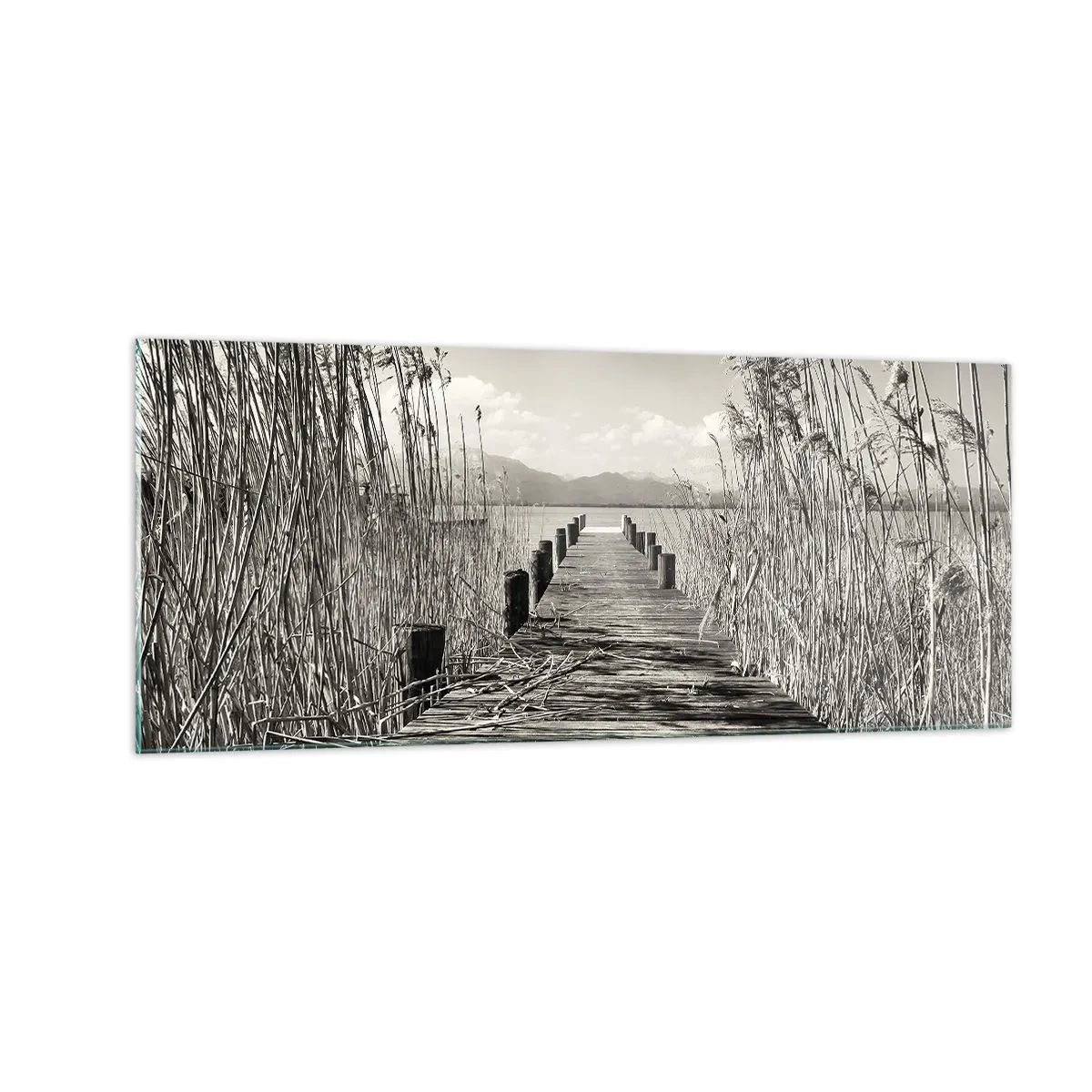 Quadro su vetro - Nel silenzio dell'erba - 100x40 cm
