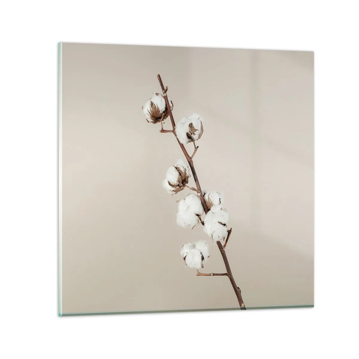 Quadro su vetro - Alla fonte della morbidezza - 30x30 cm