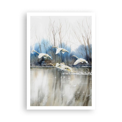 Poster - Come la favola dei cigni selvatici - 70x100 cm
