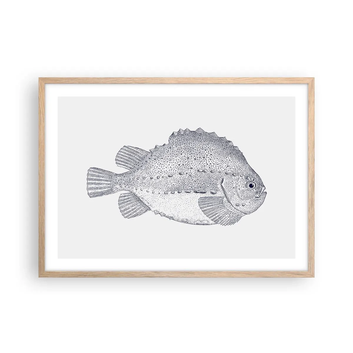 Poster in cornice rovere chiaro - Nell'album del naturalista - 70x50 cm