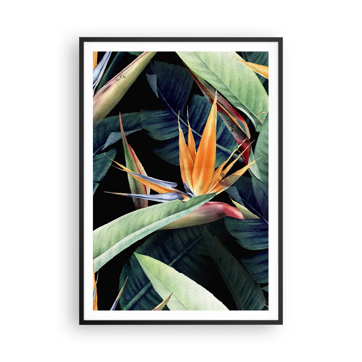 Poster in cornice nera - I fiori fiammeggianti dei tropici - 70x100 cm