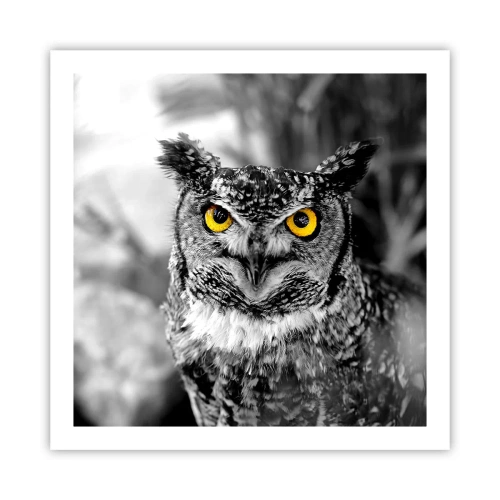 Poster - Non si può nascondere niente - 60x60 cm