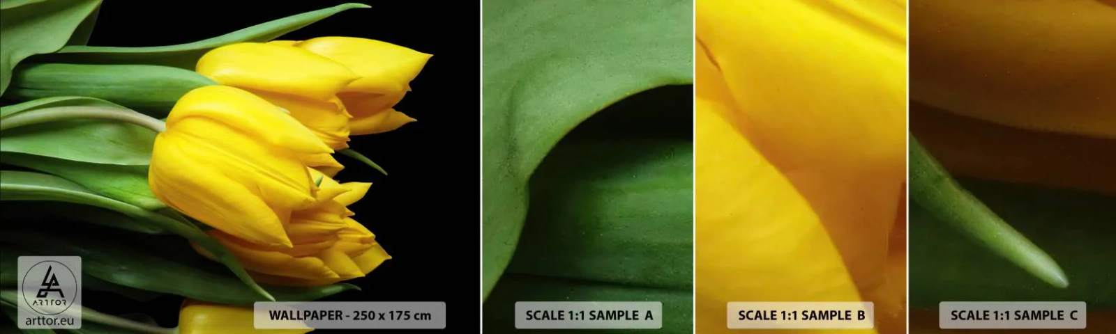 Campione Di Fotomurale Standard Eco - Fatti di puro sole - Fiori, Tulipani, Mazzo di fiori - 100x30 cm