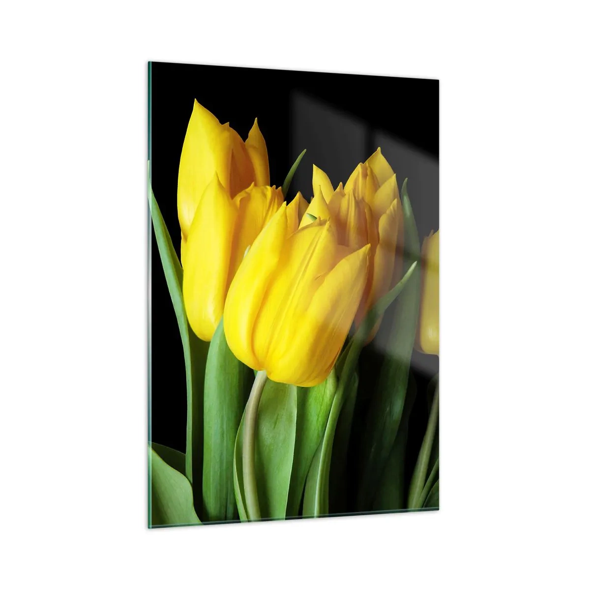 Quadro su vetro - Tulipani gialli su sfondo nero in uno scatto elegante - 50x70cm - Fatti di puro sole - Decorazione murale moderna per soggiorno e camera da letto ARTTOR