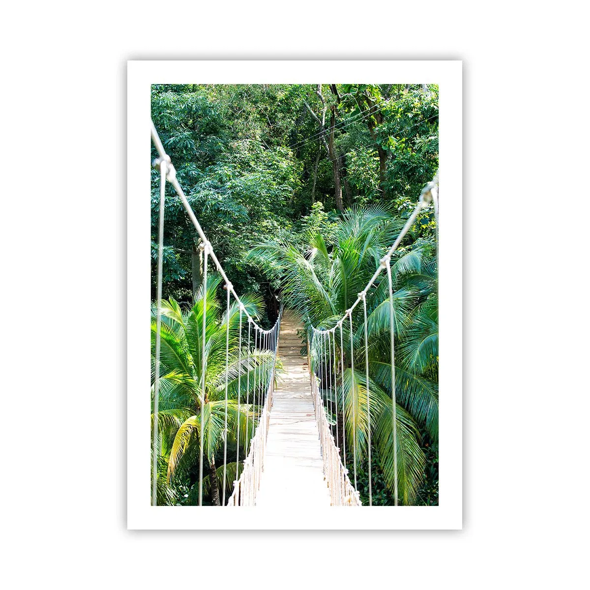 Poster - Un ponte sospeso in una foresta pluviale tropicale - 50x70cm - Welcome to the jungle! - Decorazione murale moderna per soggiorno e camera da letto ARTTOR