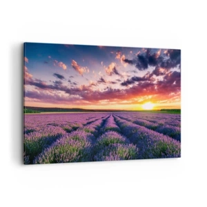 Quadro su tela - Stampe su Tela - Un campo di lavanda al tramonto con un cielo colorato - 100x70cm - Il mondo della lavanda - Decorazione murale moderna per soggiorno e camera da letto ARTTOR