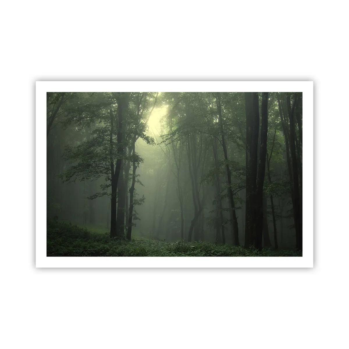 Poster - Prima che si svegli - 91x61 cm