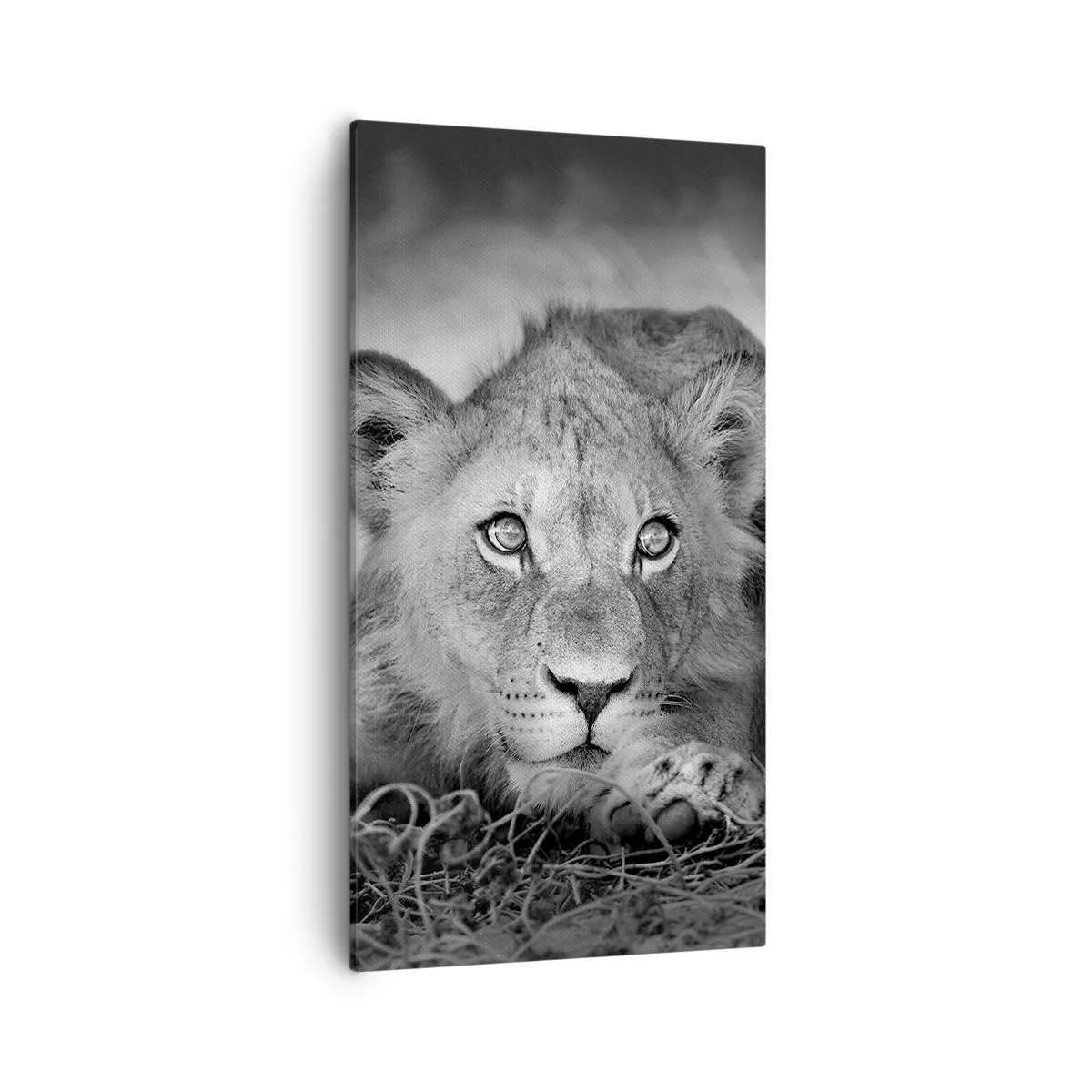 Quadro su tela - Stampe su Tela - Cucciolo reale - 55x100 cm