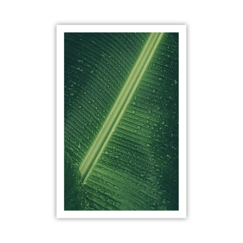 Poster - La struttura del verde - 61x91 cm