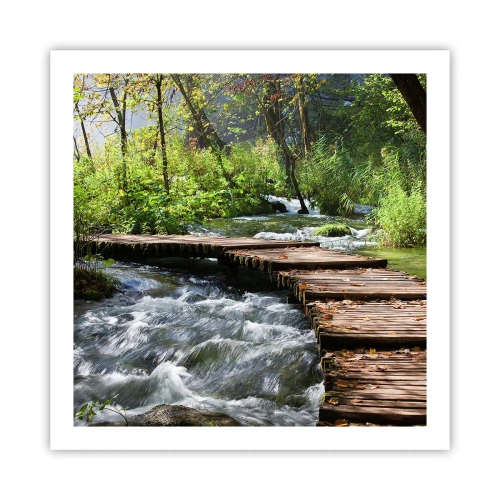 Poster - Sulla cascata spumeggiante - 60x60 cm