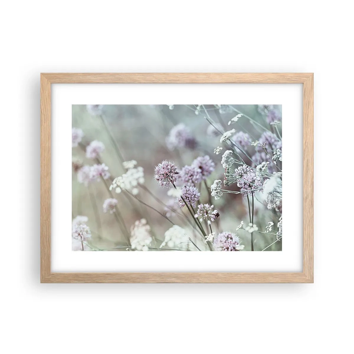 Poster in cornice rovere chiaro - Le dolci filigrane delle erbe - 40x30 cm