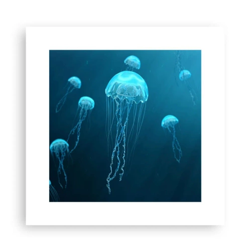 Poster - La danza oceanica - 30x30 cm