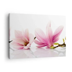 Quadro su tela - Stampe su Tela - Delicate magnolie rosa su sfondo bianco - 70x50cm - Delicati come un soffio di primavera - Decorazione murale moderna per soggiorno e camera da letto ARTTOR