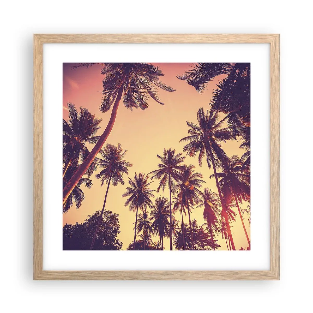 Poster in cornice rovere chiaro - Composizione tropicale - 40x40 cm