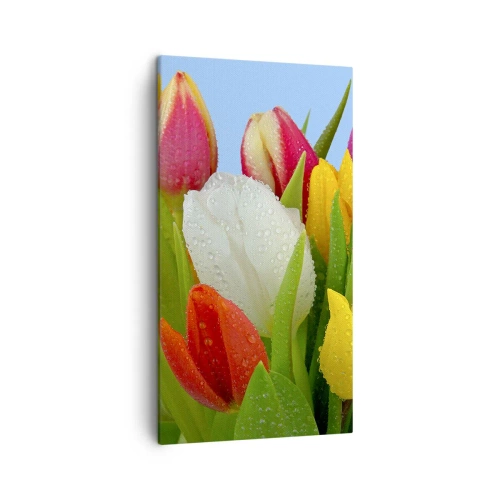 Quadro su tela - Stampe su Tela - Fiori multicolori nella rugiada - 45x80 cm