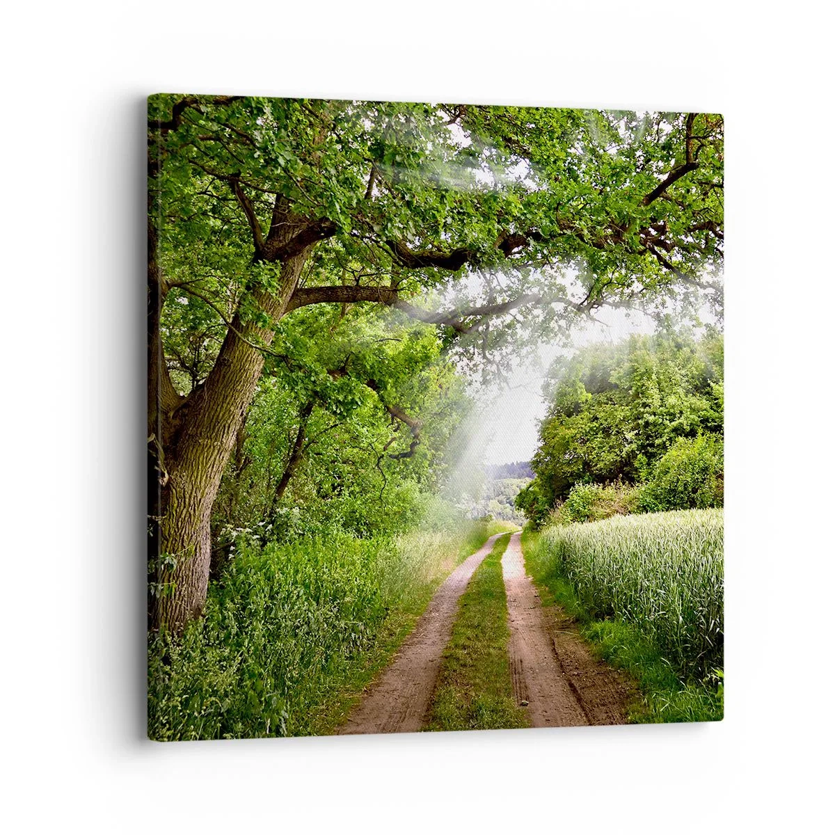 Quadro su tela - Stampe su Tela - Et in Arcadia ego - 30x30 cm