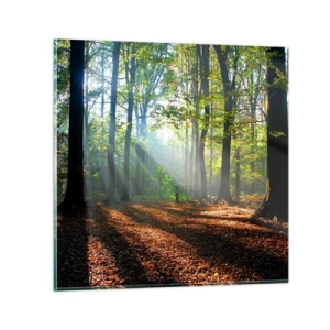 Quadro su vetro - Luci e ombre - 30x30 cm