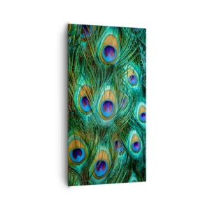 Quadro su tela - Stampe su Tela - Lo sguardo del pavone - 65x120 cm